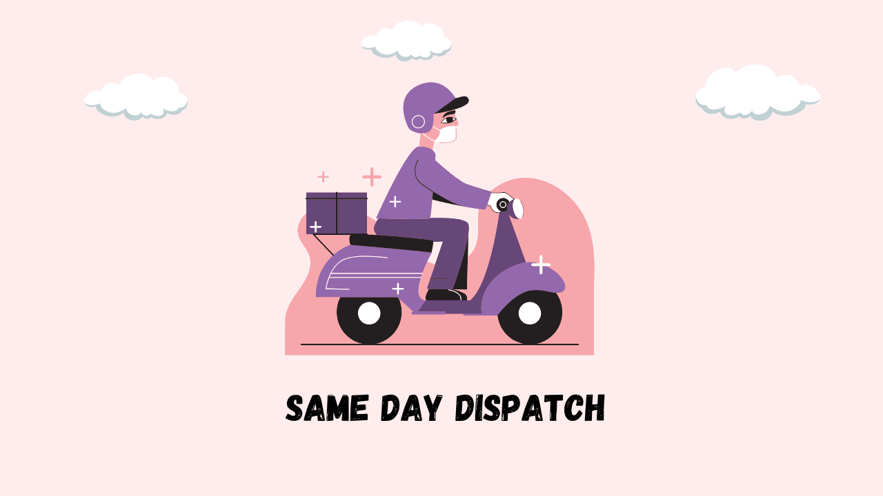 Same Day Dispatching Catalog